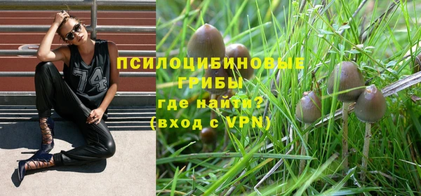 не бодяженный Корсаков