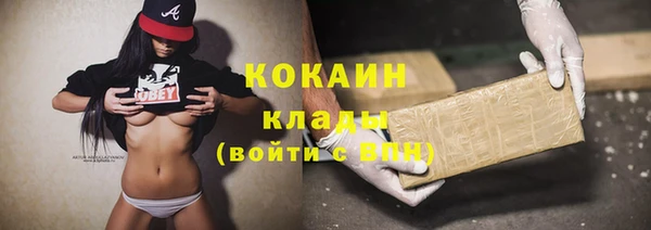 амф Козловка