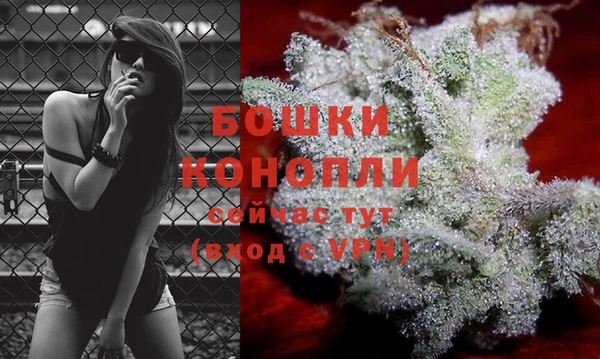 амф Козловка