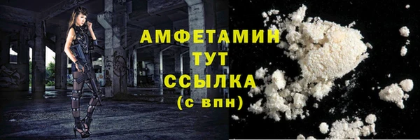 амф Козловка