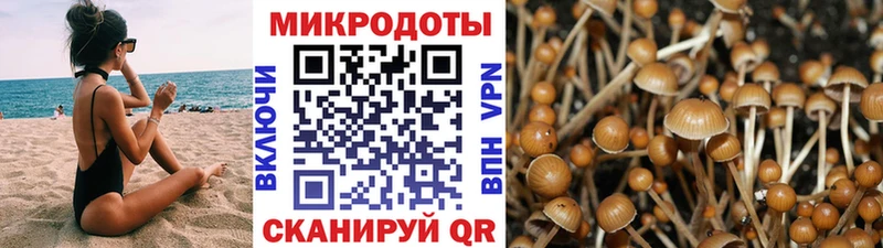 Галлюциногенные грибы Magic Shrooms  блэк спрут онион  Астрахань 