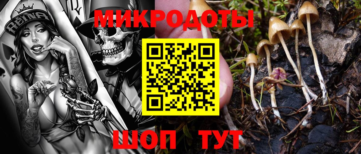Псилоцибиновые грибы MAGIC MUSHROOMS  купить  сайты  Астрахань  Вход с VPN  Псилоцибиновые грибы Magic Shrooms 